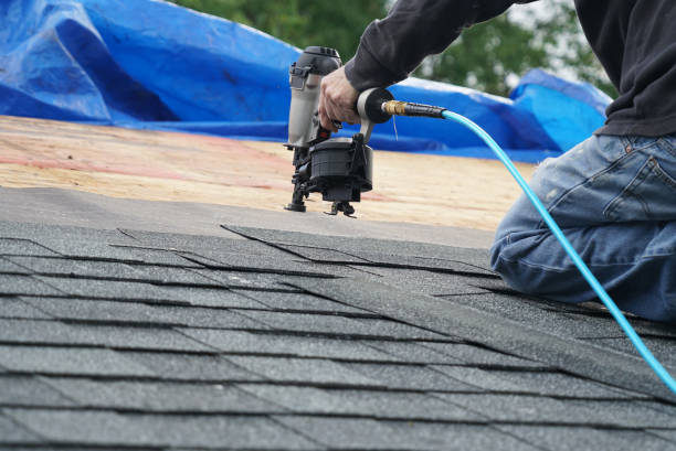 Roof Gutter Cleaning in Junction City, OR