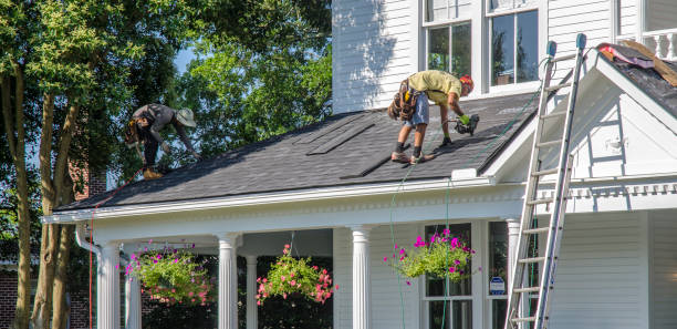 Best Roof Gutter Cleaning  in Junction City, OR
